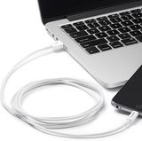 In Mexiko gab es offensichtlich großen Bedarf an iPhone-Kabeln.