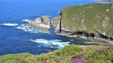 Farbenspiele in Grün und Blau  Felsig und steil zeigt sich die Küste zumeist, die Ausläufer des Kantabrischen Gebirges, das Asturien von Ost nach West gegen das übrige Spanien abschirmt, reichen bis ans Meer. Und im feuchten Klima gedeihen an der Costa Verde die Pflanzen in aller Vielfalt, vom Strandhafer über den Apfelbaum bis zur eingewanderten Palme.