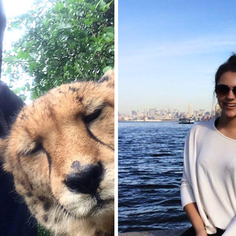 Zwei Bilder von Josh und Michell, die drei Jahre bei Tinder gechattet haben