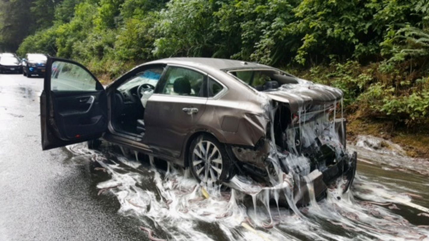 Hier wird mehr als nur eine Autowäsche fällig: Die Schleimaale haben diesem Wagen ordentlich zugesetzt