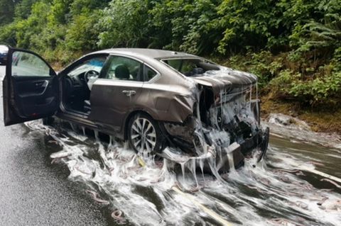 Hier wird mehr als nur eine Autowäsche fällig: Die Schleimaale haben diesem Wagen ordentlich zugesetzt
