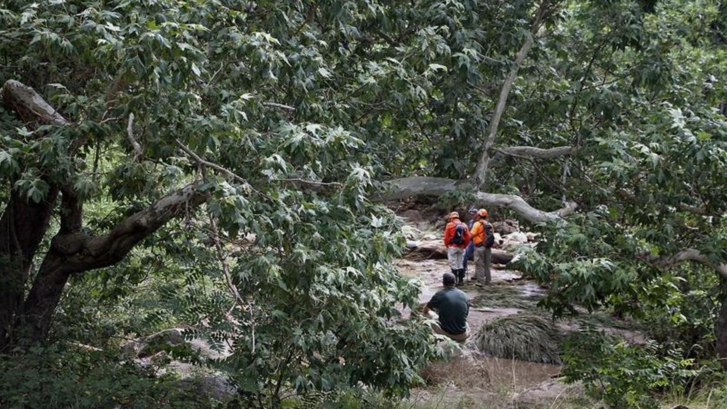 Rettungskräfte suchen bei Payson, Arizona in einem Waldstück nach vermissten Schwimmern