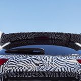 Der Spoiler sieht richtig schick aus.