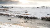 "Um ans Meer zu kommen, müssen wir manchmal ungewöhnliche Wege gehen. In diesem Fall war der unkomplizierteste Weg an einen Strand im Süden Norwegens zu kommen, per Fluss", erzählt er.