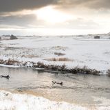 "Um ans Meer zu kommen, müssen wir manchmal ungewöhnliche Wege gehen. In diesem Fall war der unkomplizierteste Weg an einen Strand im Süden Norwegens zu kommen, per Fluss", erzählt er.