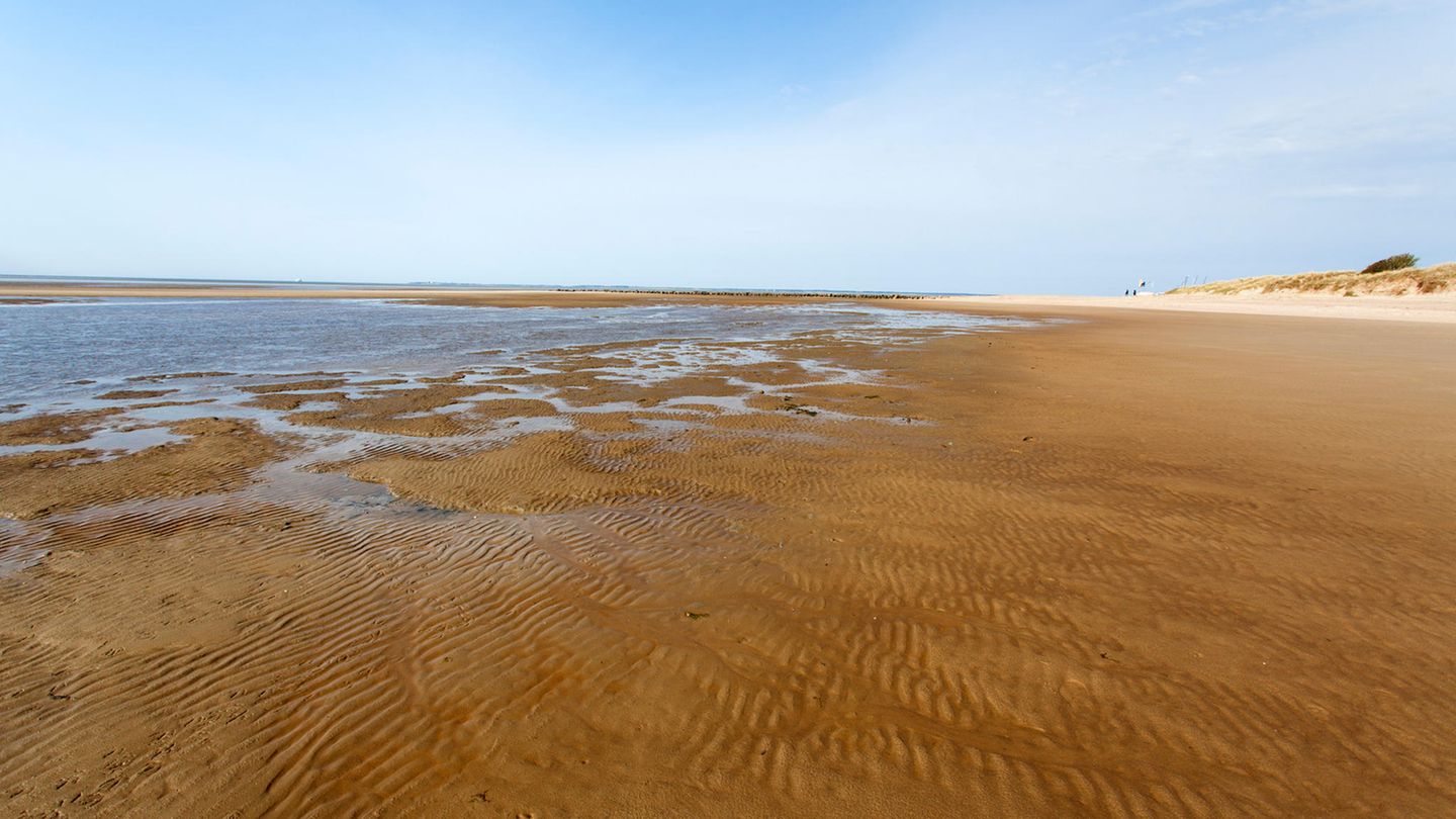Wattwanderung von Föhr nach Amrum Wattwanderung von Föhr nach Amrum