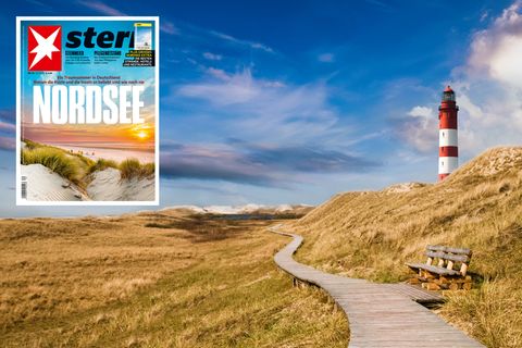 Sommerferien in Deutschland: Wo die Nordsee am schönsten ist