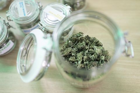 Uruguay verstaatlicht Marihuana-Verkauf in Apotheken