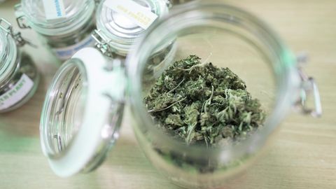 Uruguay verstaatlicht Marihuana-Verkauf in Apotheken