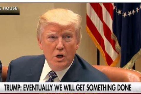 Donald Trump Zitat Fox