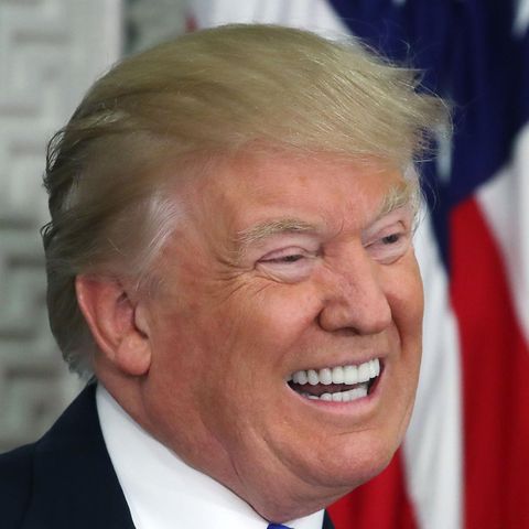 Donald Trump sechs Monate