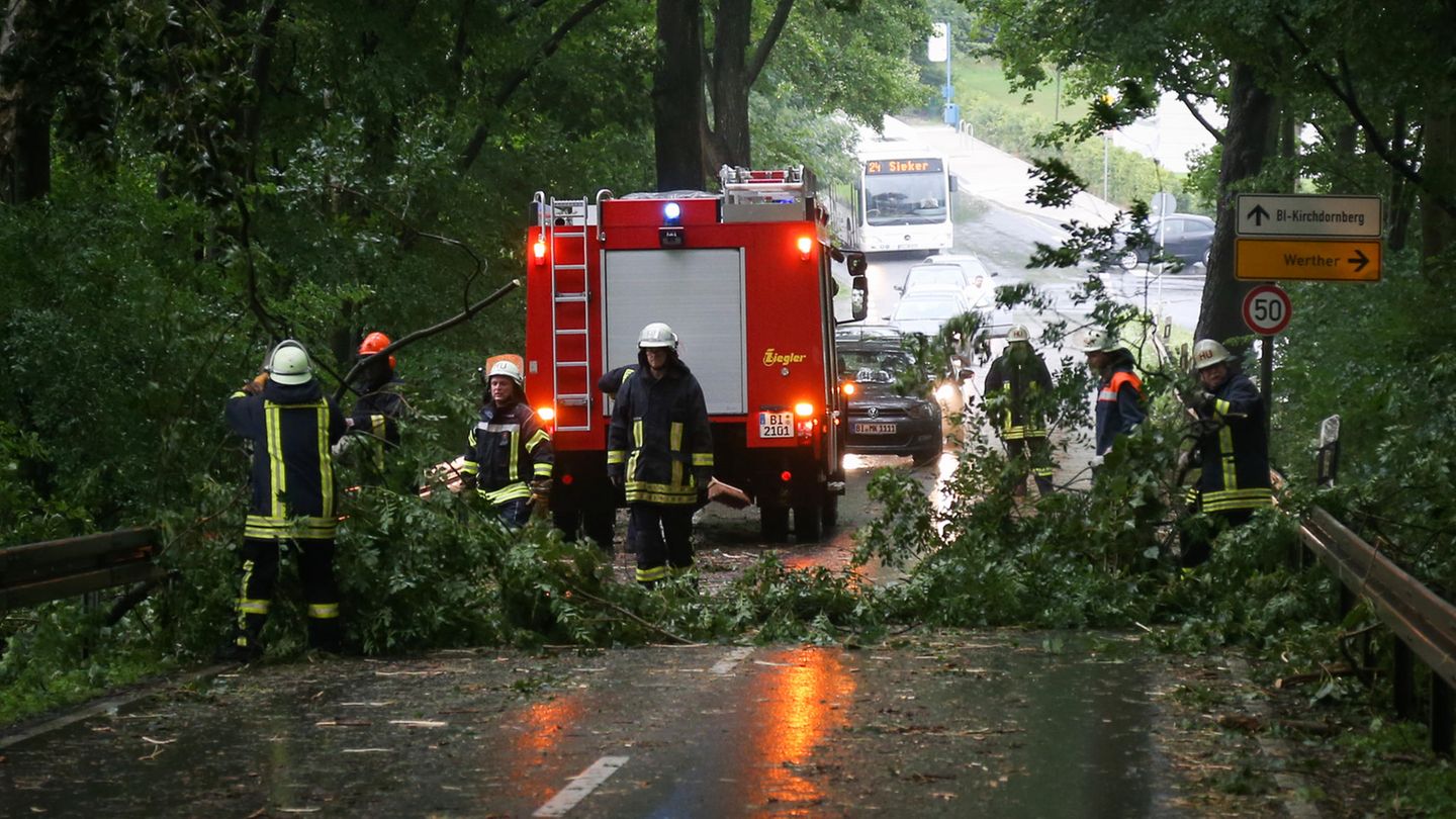Feuerwehrleute räumen in Bielefeld (Nordrhein-Westfalen) eine Straße, auf die Teile eines Baumes gefallen waren.