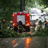 Feuerwehrleute räumen in Bielefeld (Nordrhein-Westfalen) eine Straße, auf die Teile eines Baumes gefallen waren.