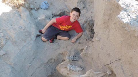 Jude Sparks neben seinem Fund: dem fossilen Schädel eines Stegomastodon