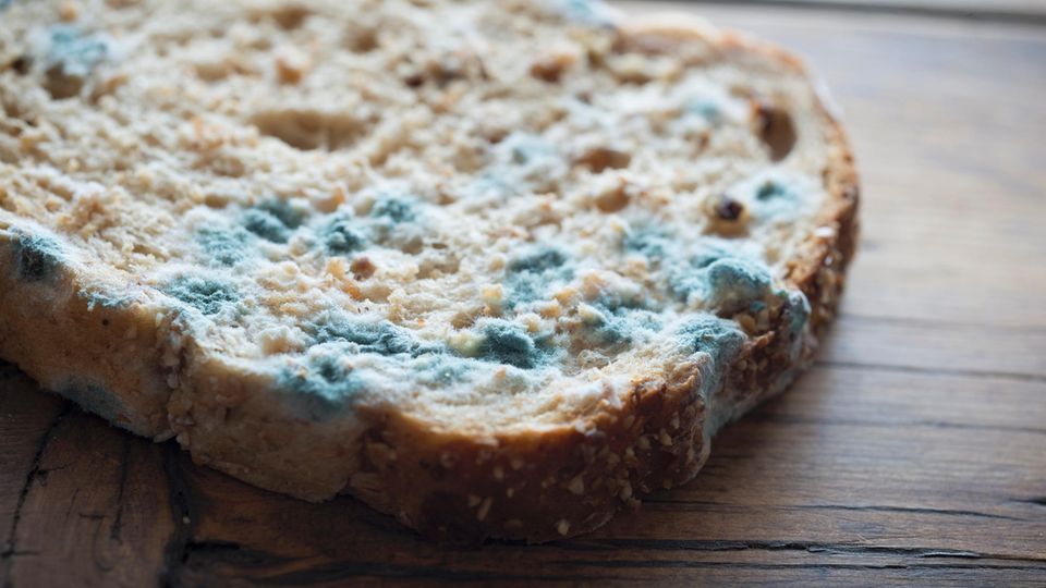 Ihr Brot ist verschimmelt? Dann schmeißen Sie es in den Müll. Schimmelsporen haben bereits das ganze Brot infiltriert - auch wenn es bei den anderen Scheiben noch nicht erkennbar ist. Das Gleiche gilt übrigens für Brötchen, Muffins und anderes Gebäck.
