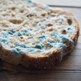 Ihr Brot ist verschimmelt? Dann schmeißen Sie es in den Müll. Schimmelsporen haben bereits das ganze Brot infiltriert - auch wenn es bei den anderen Scheiben noch nicht erkennbar ist. Das Gleiche gilt übrigens für Brötchen, Muffins und anderes Gebäck.