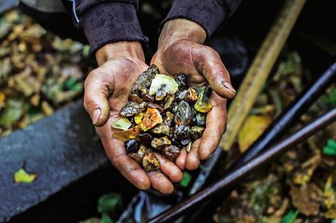 Illegaler Bernsteinabbau: Das Gold und der Dreck
