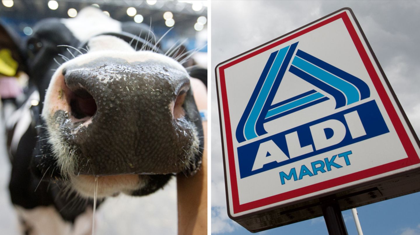 Ein Zusammenschnitt aus einer Kuh und einem Schild des Discounters Aldi Nord