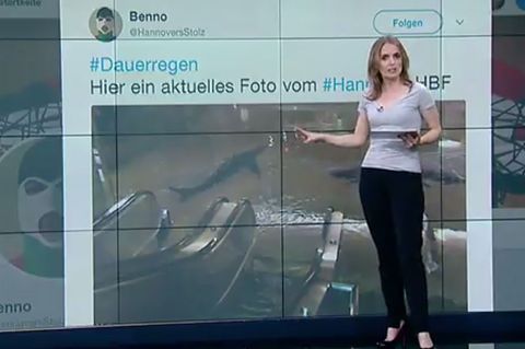 N24 und die "Haie in Hannover"
