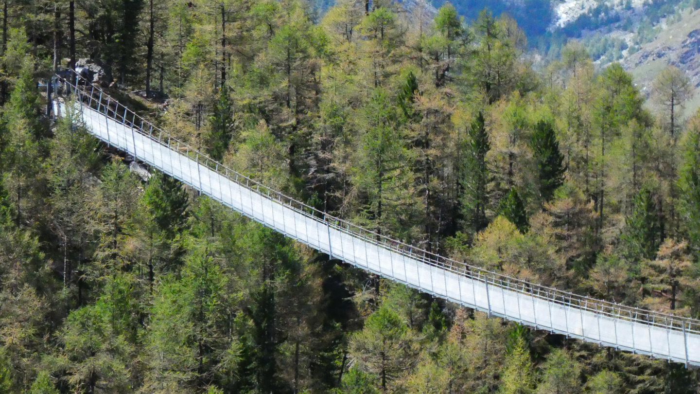 Die Brücke ist 494 Meter lang und bricht damit sämtliche Weltrekorde. 