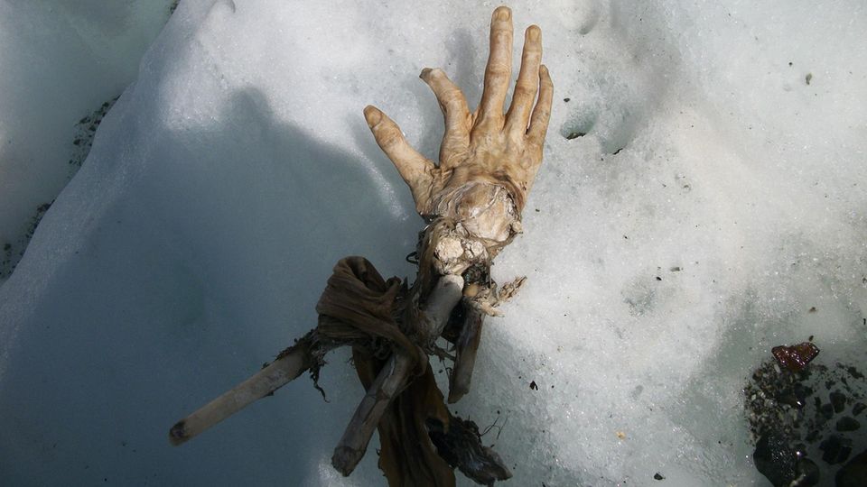Diese Hand könnte einem Opfer eines der beiden Air India Flugzeugabstürze in dem Gebiet von 1950 und 1966 gehören Diese Hand könnte einem Opfer eines der beiden Air India Flugzeugabstürze in dem Gebiet von 1950 und 1966 gehören