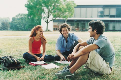 Eine Studentin und zwei Studenten sitzen auf der Wiese