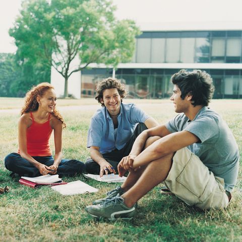 Eine Studentin und zwei Studenten sitzen auf der Wiese