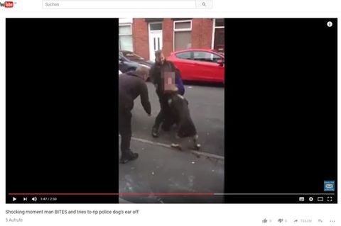 Das Video zeigten den Kampf zwischen dem Mann und Polizeihund Theo in Manchester