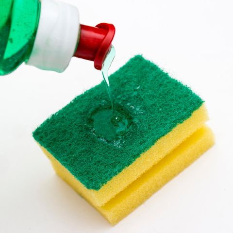 Küchenschwämme sind oft erheblich mit Bakterien belastet