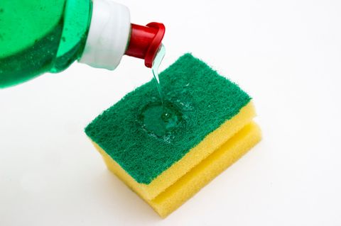 Küchenschwämme sind oft erheblich mit Bakterien belastet