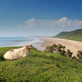 Rhossili Bay, Wales, Großbritannien