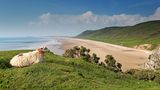 Rhossili Bay, Wales, Großbritannien