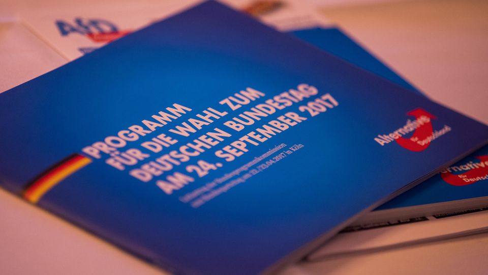 Die AfD verkauft ihr Wahlprogramm nun als E-Book - die kuriosen Amazon-Rezensionen