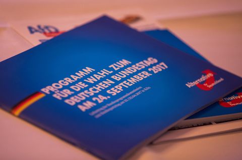 Die AfD verkauft ihr Wahlprogramm nun als E-Book - die kuriosen Amazon-Rezensionen