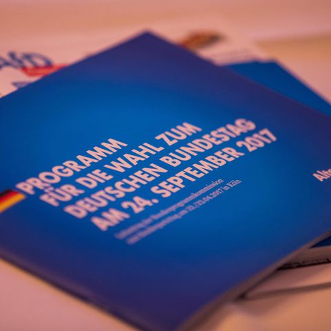 Die AfD verkauft ihr Wahlprogramm nun als E-Book - die kuriosen Amazon-Rezensionen