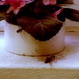 Diese Prominenten erleben ihre erste Stunden im "Sommerhaus der Stars"