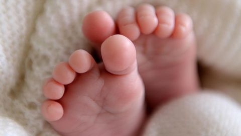 Forscher haben bei Embryonen einen Gendefekt repariert. Noch wurden die Embryonen nicht einer Frau eingesetzt.