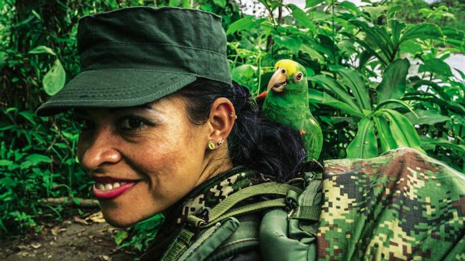 FARC-Guerilla in Kolumbien: Die Guerillera in Uniform, auf der Schulter ihr Pagagei Lorenzo Die Guerillera in Uniform, auf der Schulter ihr Pagagei Lorenzo