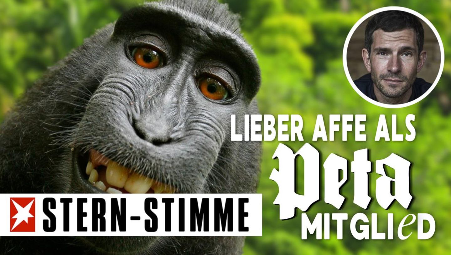 Micky Beisenherz