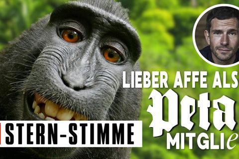 Micky Beisenherz