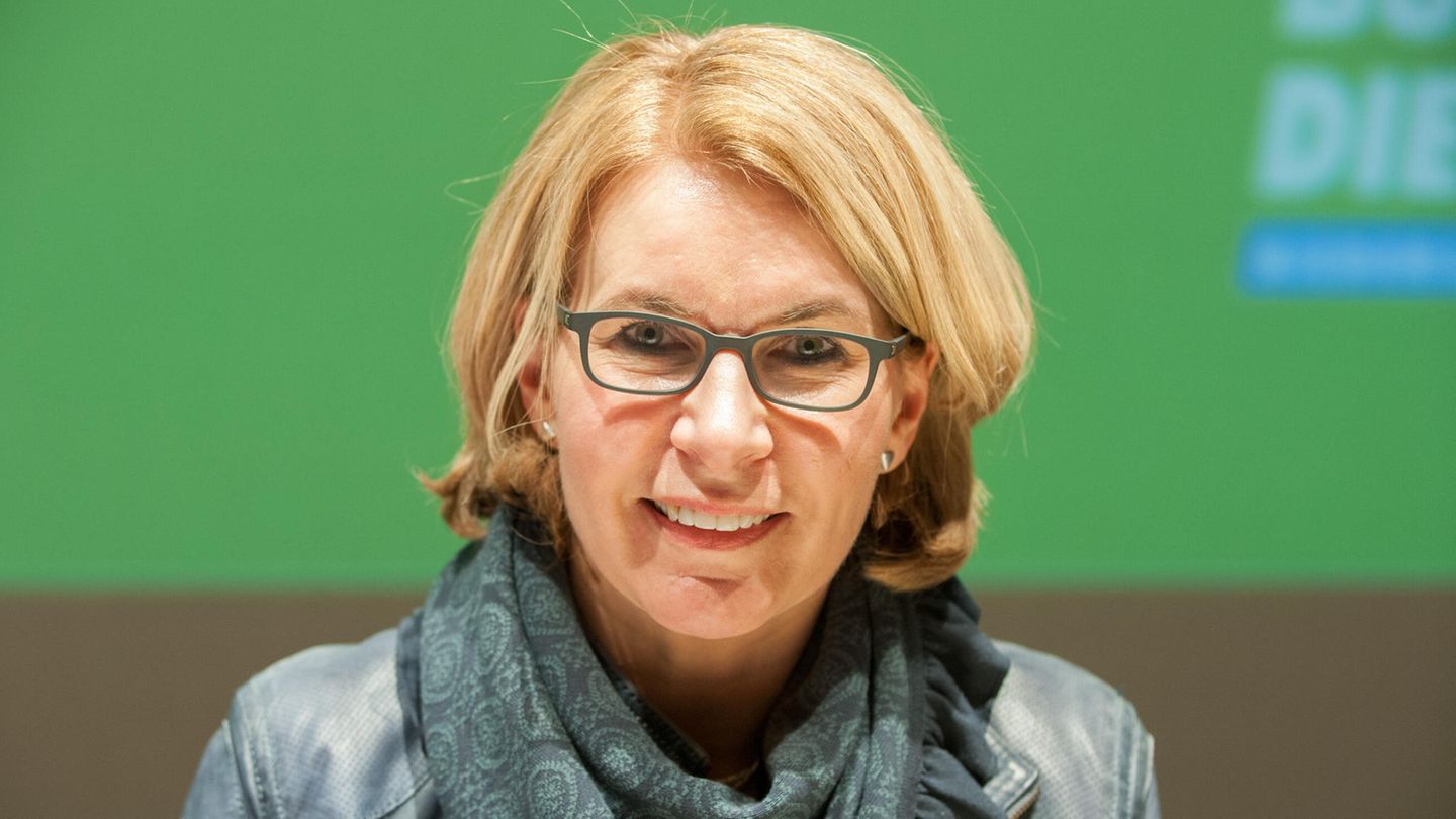 Die Grünen-Abgeordnete Elke Twesten tritt aus der Fraktion im Landtag Niedersachen aus