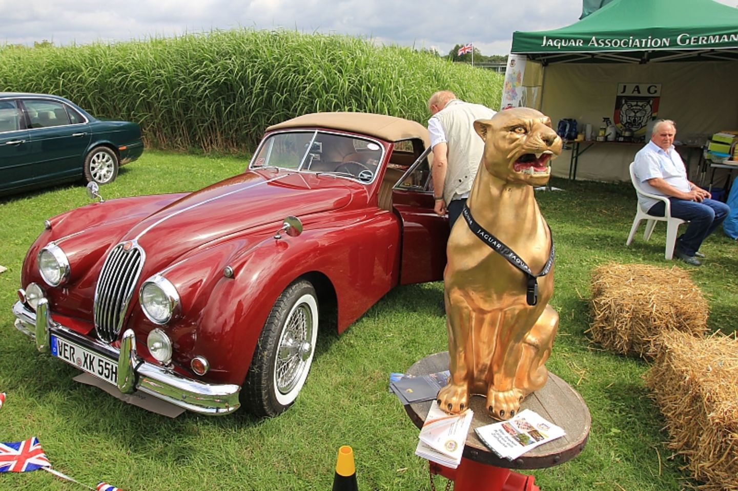Der Jaguar Club zeigt fast alles, was er zu bieten hat.