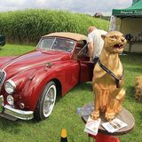 Der Jaguar Club zeigt fast alles, was er zu bieten hat.
