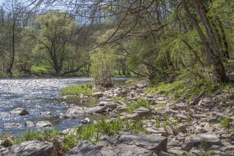Der Kocher ist ein Nebenfluss des Neckars und mündet nördlich von Heilbronn