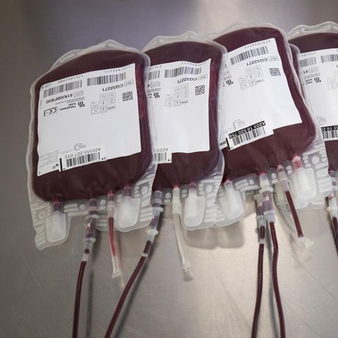 Blutspenden liegen auf einem Tisch