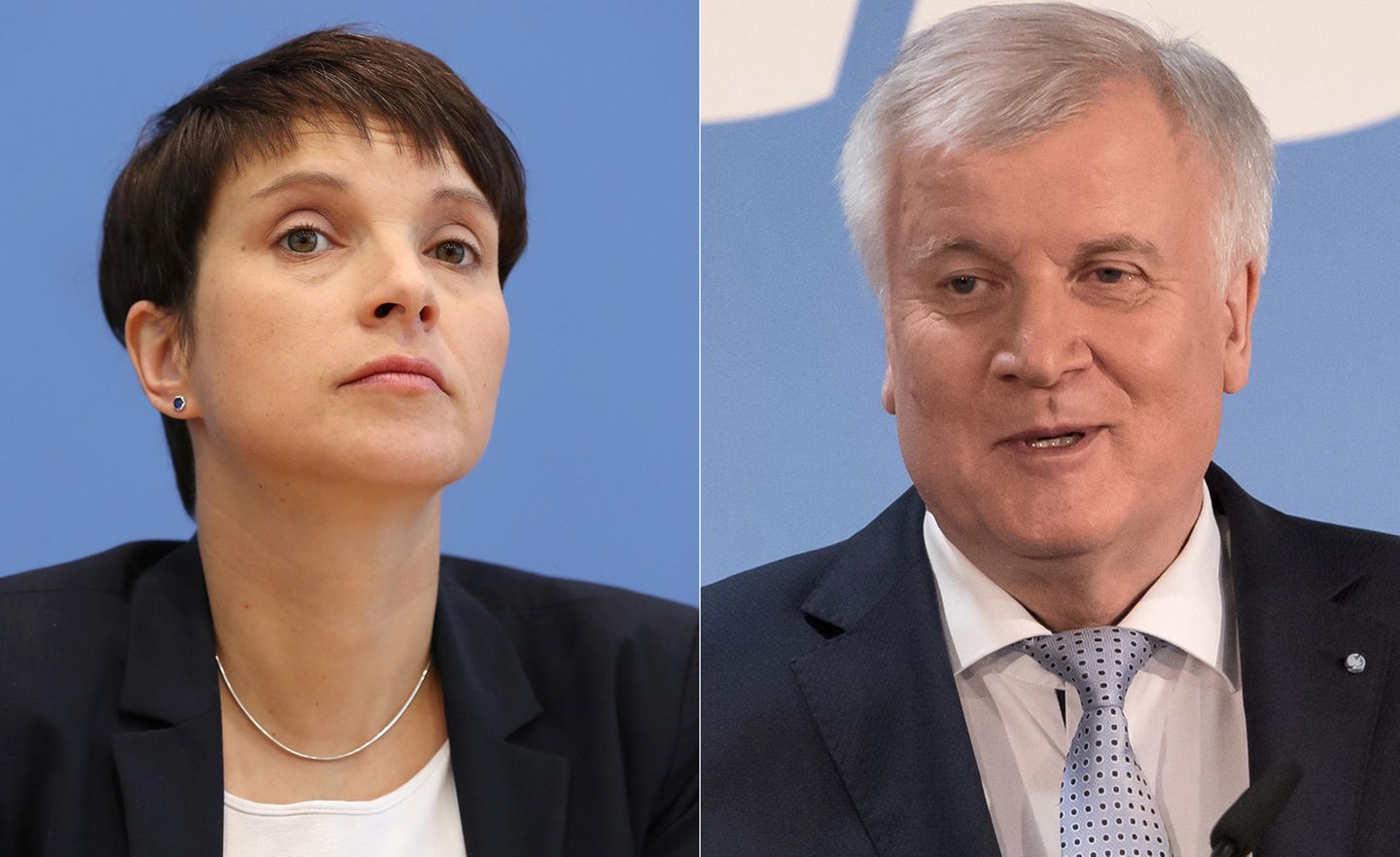 Frauke Petry und Horst Seehofer in einer Bildkombo