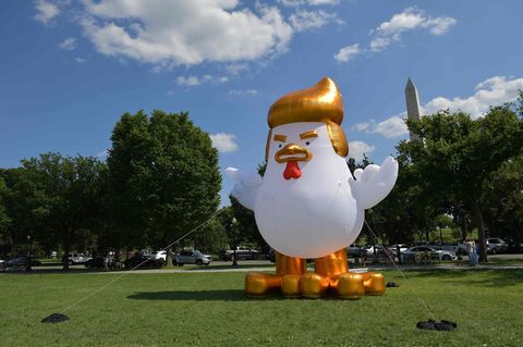 trump chicken