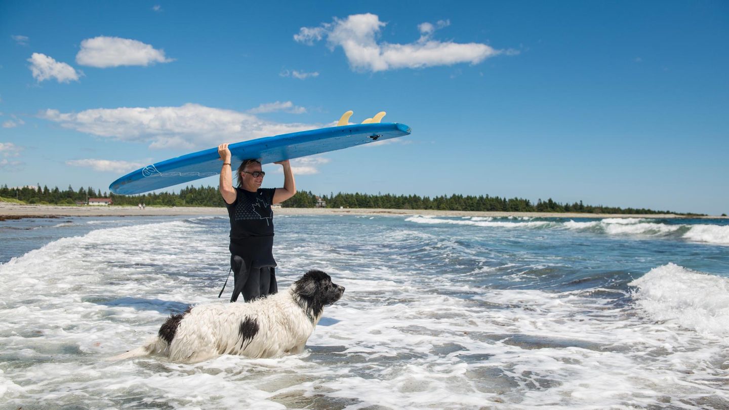 Colin Campbell und sein Hund George teilen eine besondere Leidenschaft: das Surfen