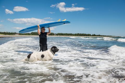 Colin Campbell und sein Hund George teilen eine besondere Leidenschaft: das Surfen