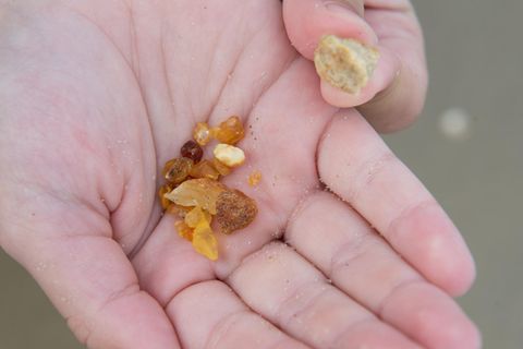 Das Sammeln von Bernstein an der Küste der Ostseeinsel Usedom ist nicht ungefährlich, da Bernstein mit Phosphor-Teilchen verwechselt werden kann, die sich bei Aufbewahrung in Kleidung oder brennbaren Behältnissen entzünden können.